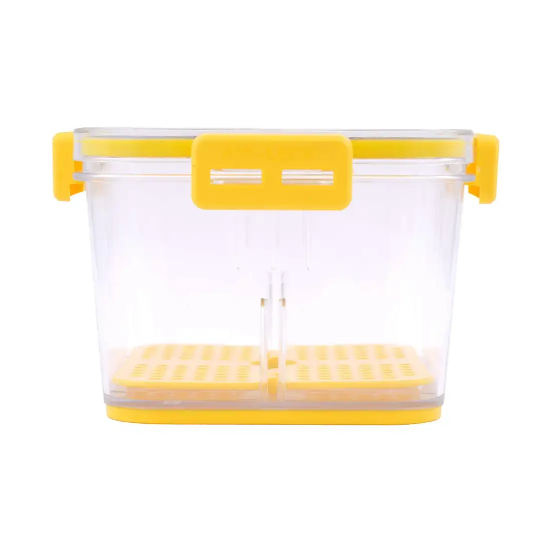 Fridge Smart Container (Set of 2, 1.0 L) – Lemon Yellow