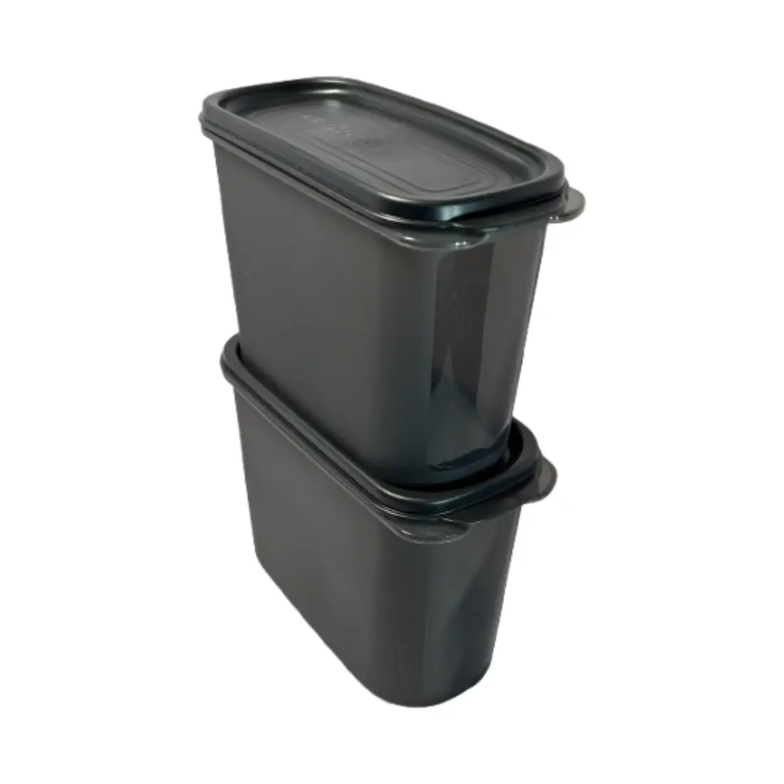 Keep It Dry Oval Container with Scoop(set of 2, 1.2L) - Black